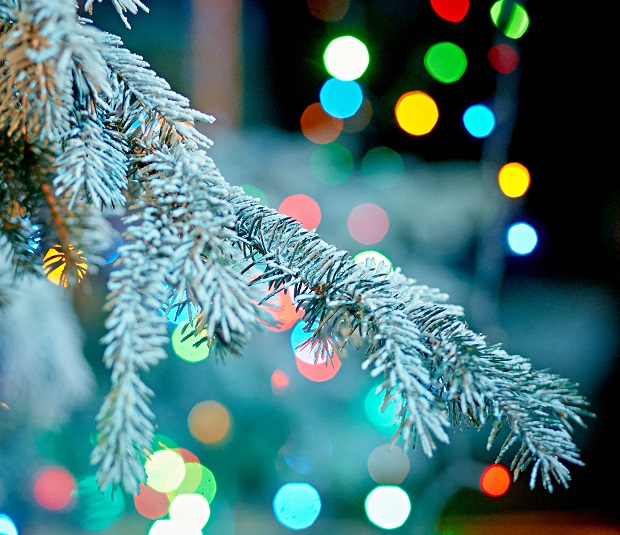 Preparação para o natal 2016